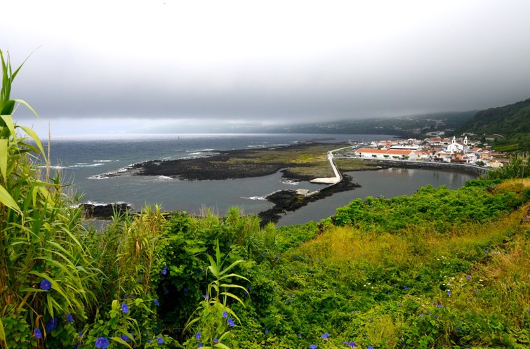 pico_ete_2013__451_site
